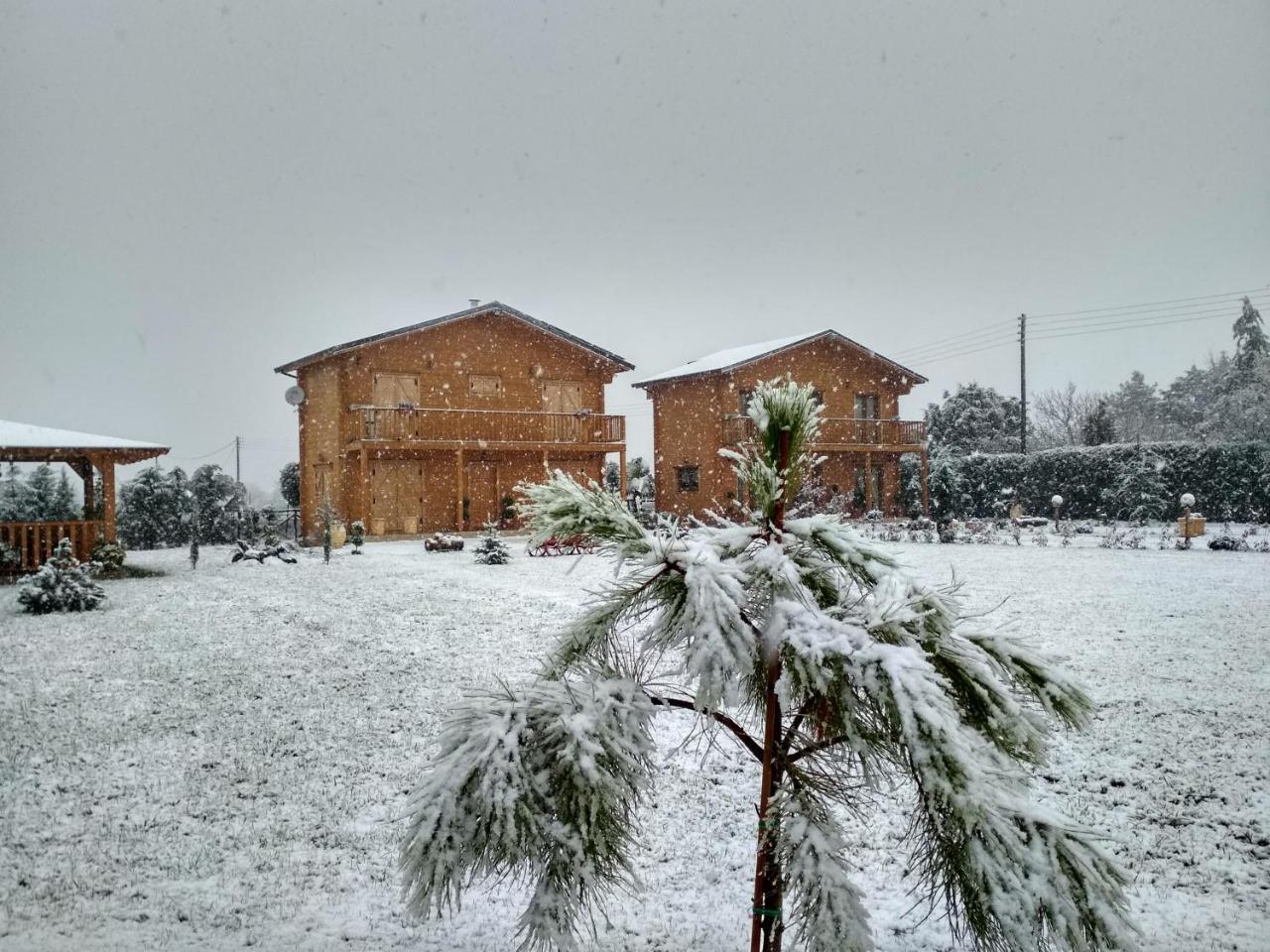 Kastor Chalets Ampelokipoi  Exterior foto